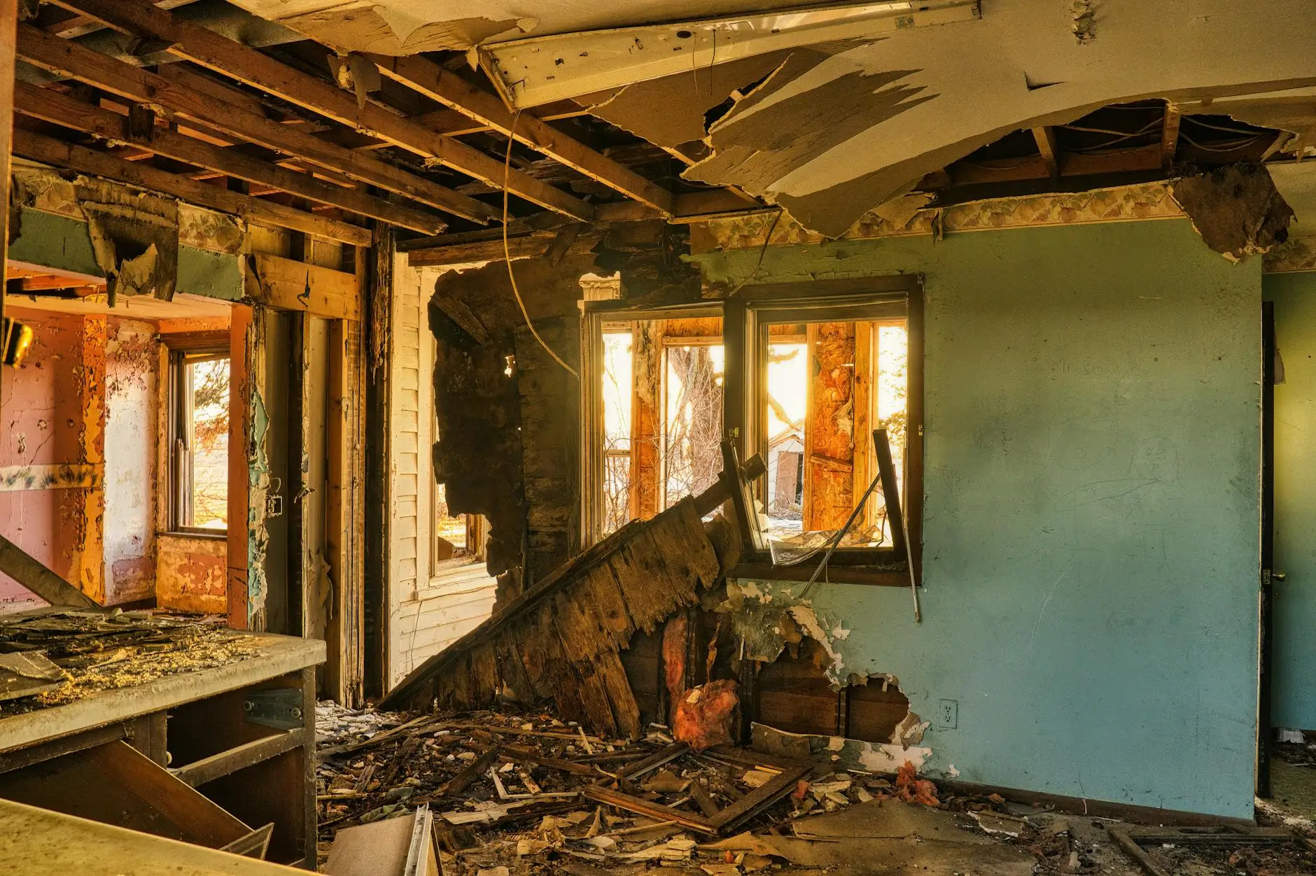 Leading Mold Removal Company in Sarasota, Florida — Sarasota, FL
