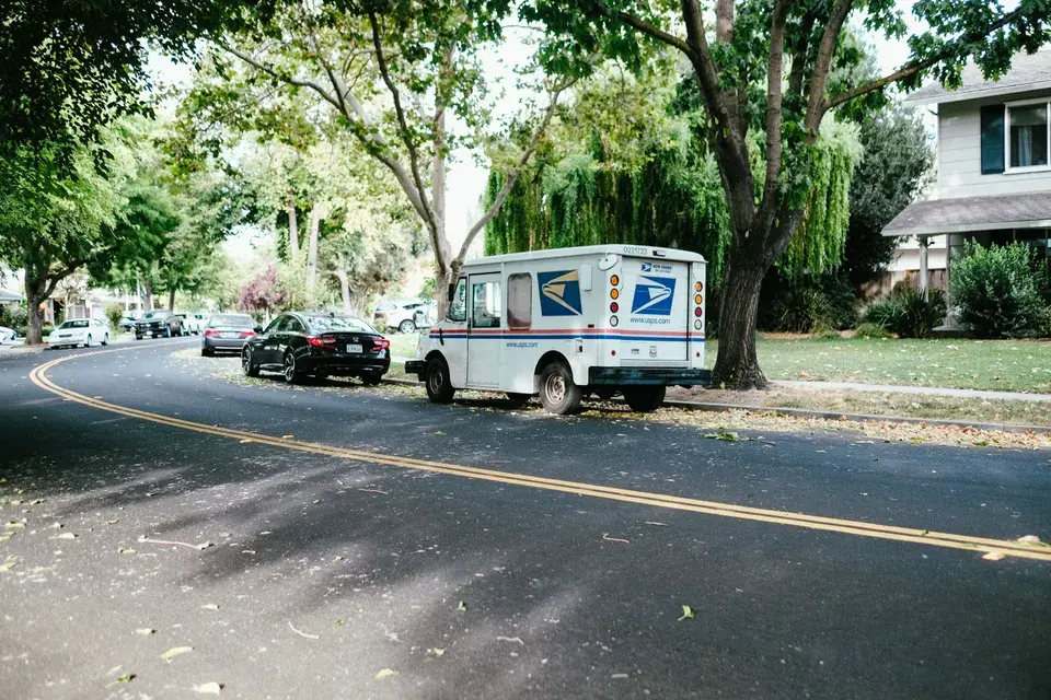 mold removal in Vamo, FL