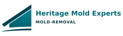 Heritage Mold Experts
